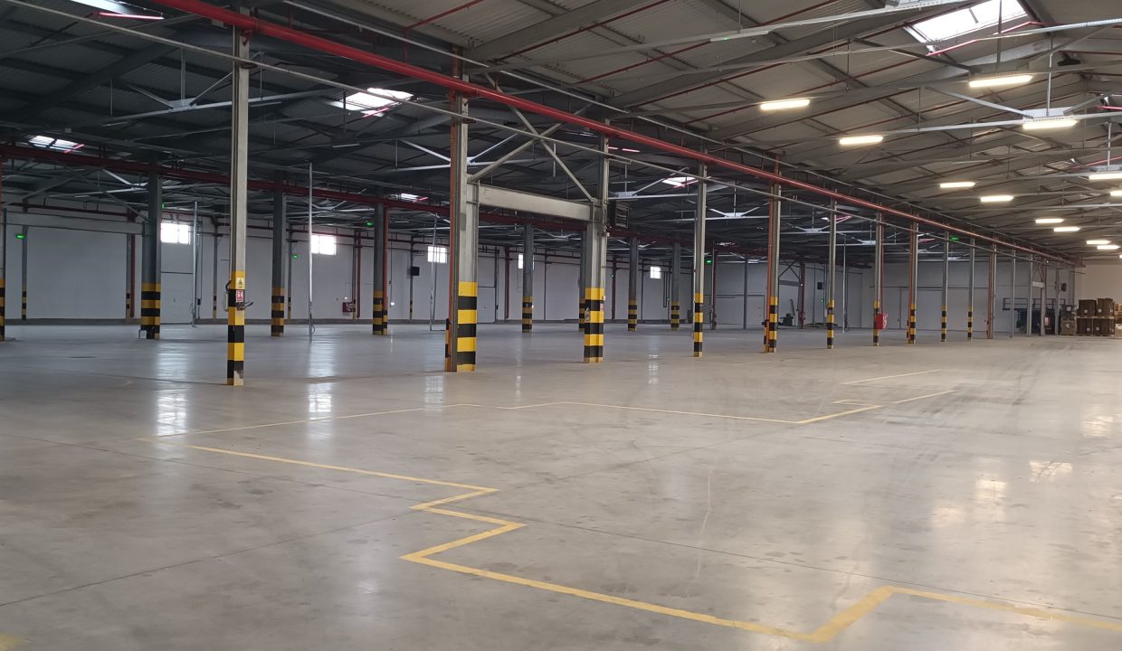 0706bf97-1b60-4285-b901-cb7c98d57900