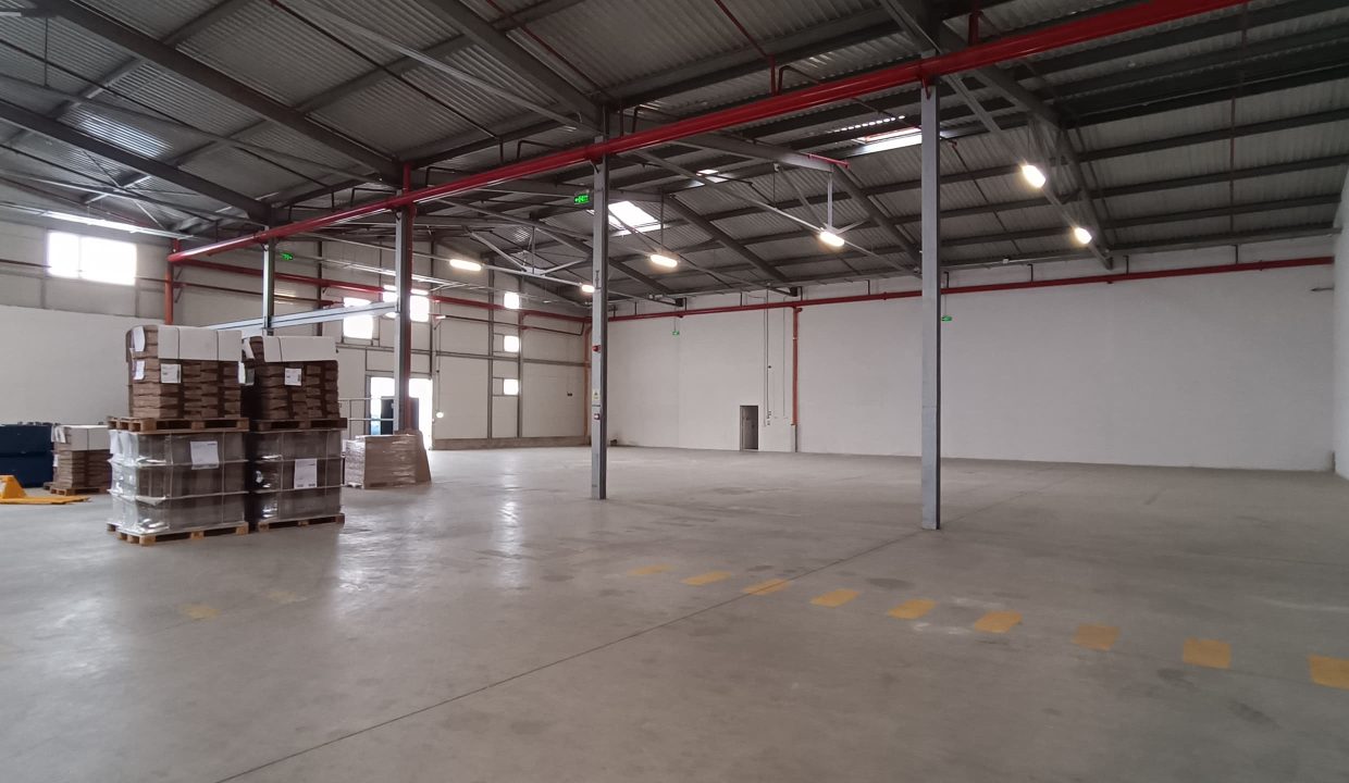 13e0619b-f434-4d78-81e3-28b16d4d052e