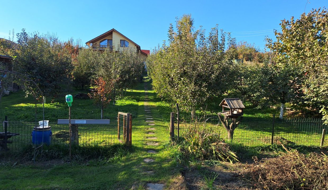 20241022_155906-scaled