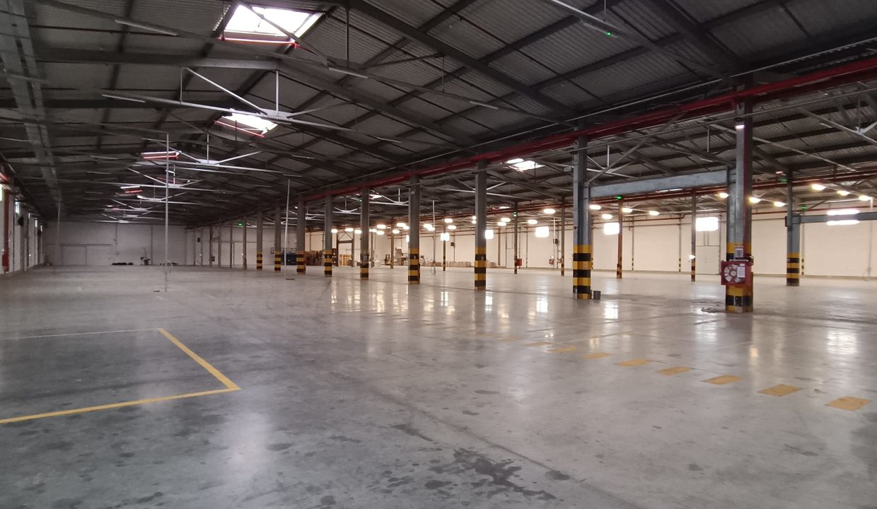 593e6245-21c1-46f9-8fc9-97cc32d9d999