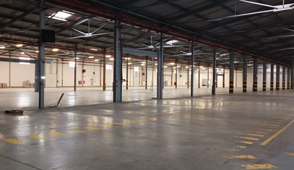 5af79ca6-7fb7-4878-b4da-d33f52a040a3