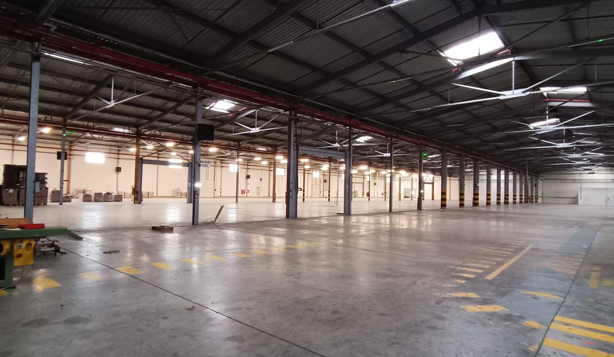 c3014a11-0d52-4cc1-8f7b-eb42fbb093e1