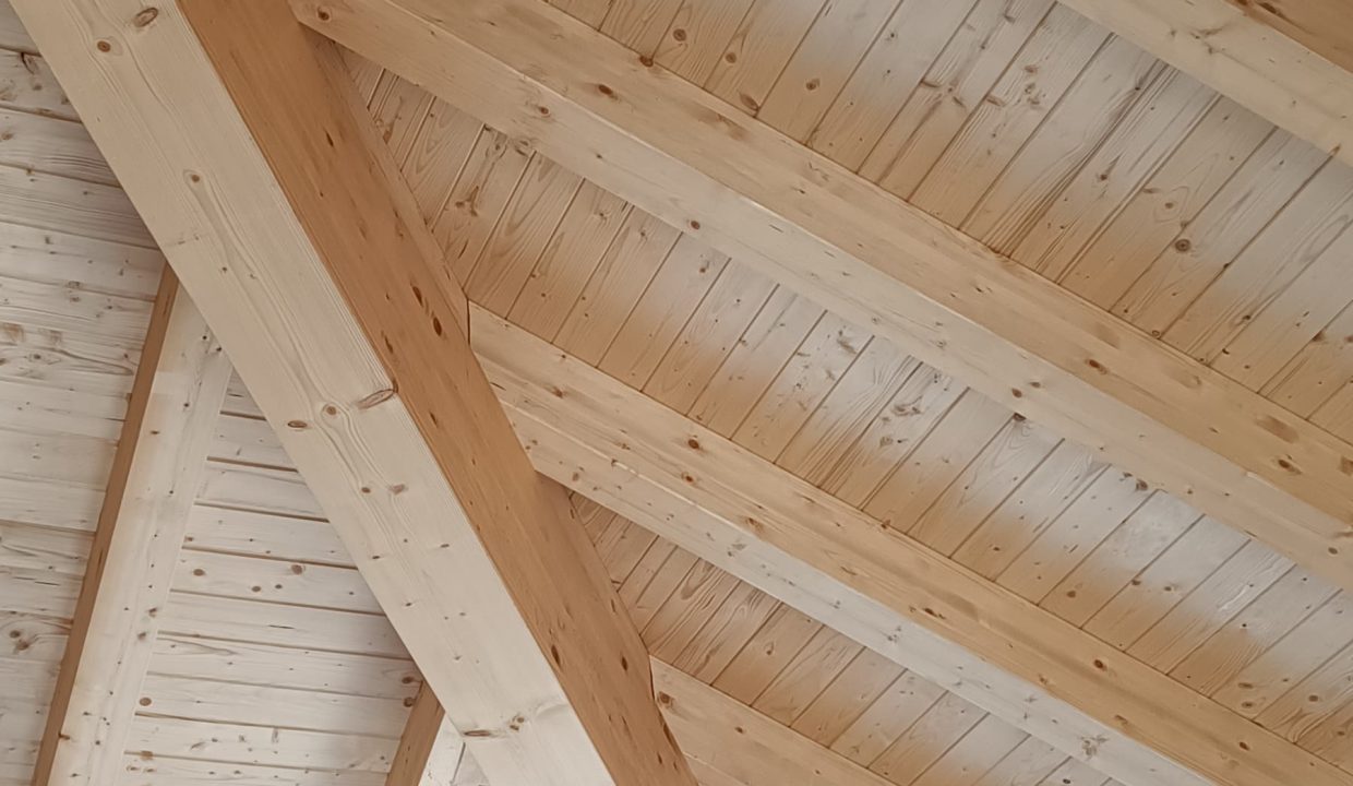 d3887cc4-f4b4-4f50-8c2a-8439b9cb3176