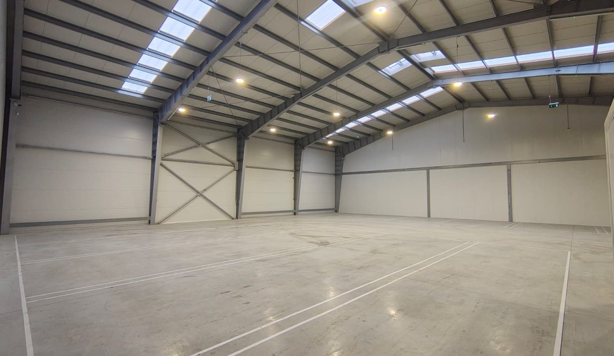 6f58c383-5256-4acb-bb4e-d3bcdad2704f