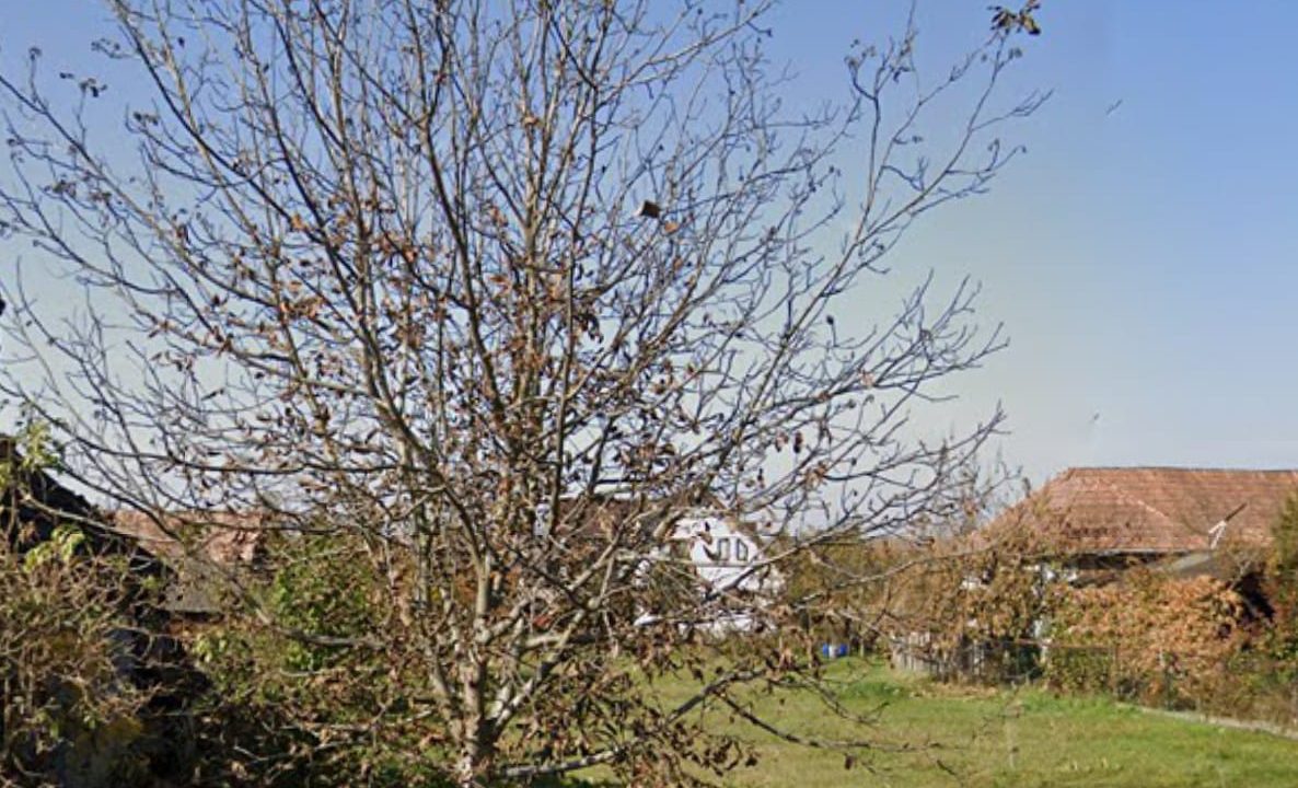 WhatsApp Image 2025-11-28 at 09.59.56_e99c6ae7