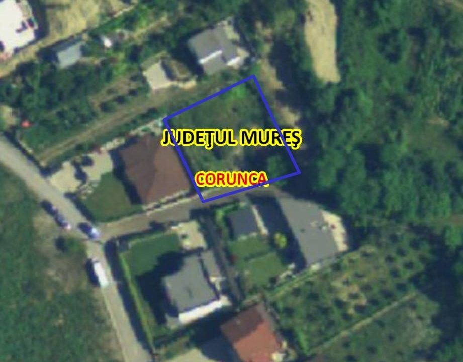 WhatsApp Image 2026-01-05 at 11.28.05