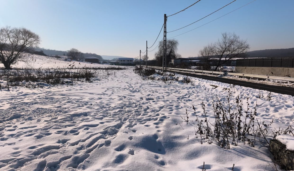 WhatsApp Image 2026-01-19 at 22.17.36