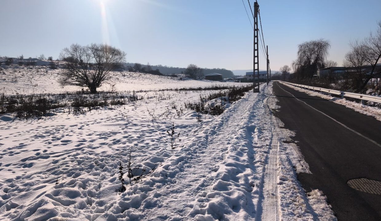 WhatsApp Image 2026-01-19 at 22.17.37