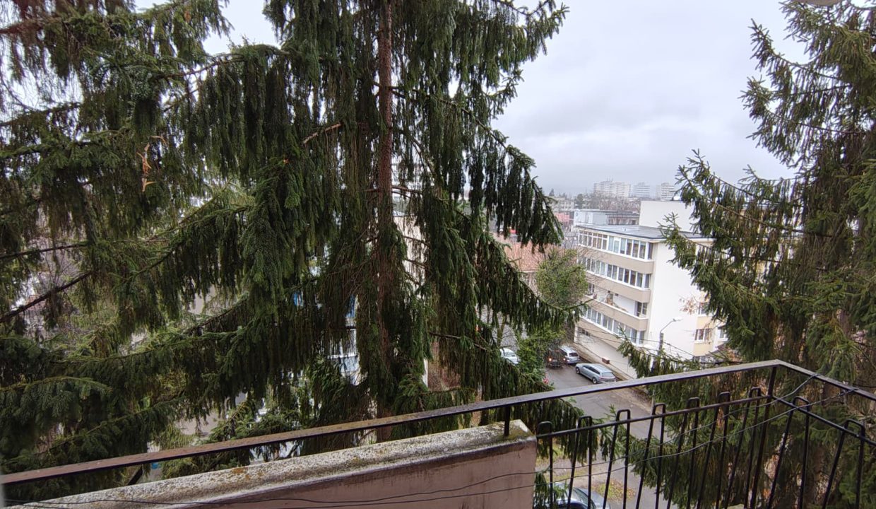 WhatsApp Image 2026-02-09 at 11.07.23 (1)