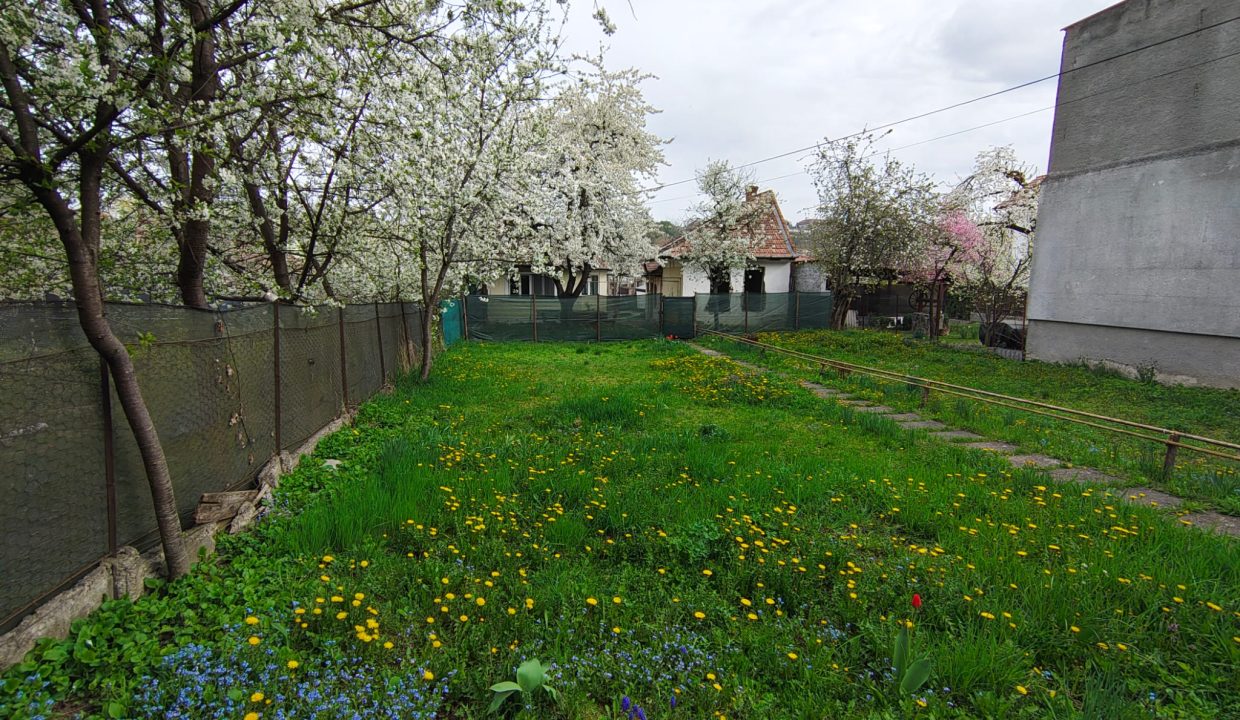 WhatsApp Image 2026-04-17 at 09.57.26