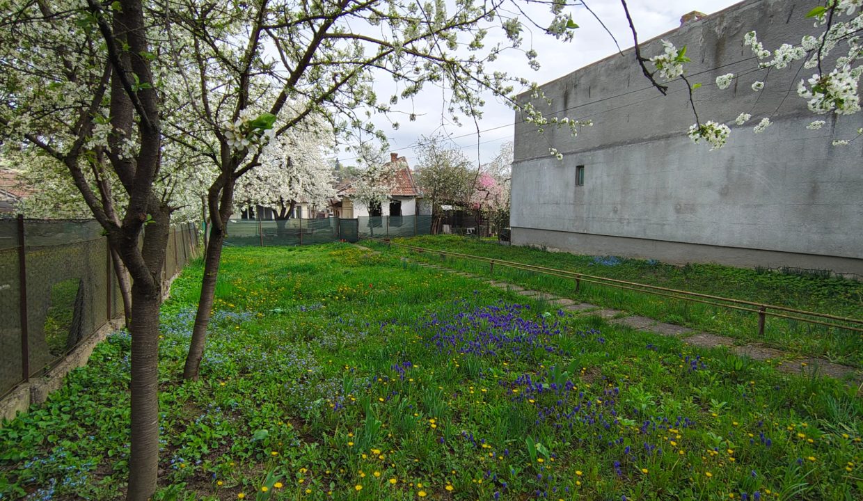 WhatsApp Image 2026-04-17 at 09.57.27