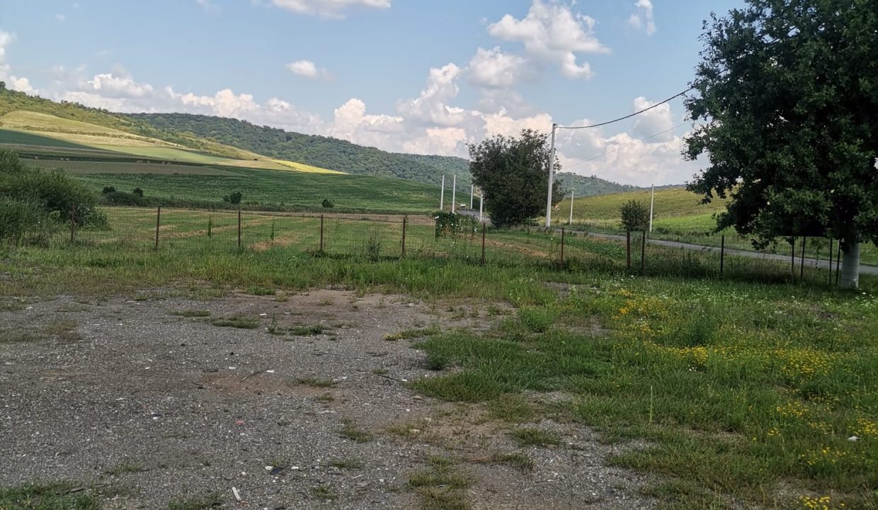IMG-20250811-WA0013