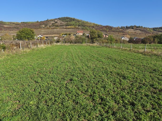 Teren intravilan de vanzare in Livezeni, comuna Ivanesti!